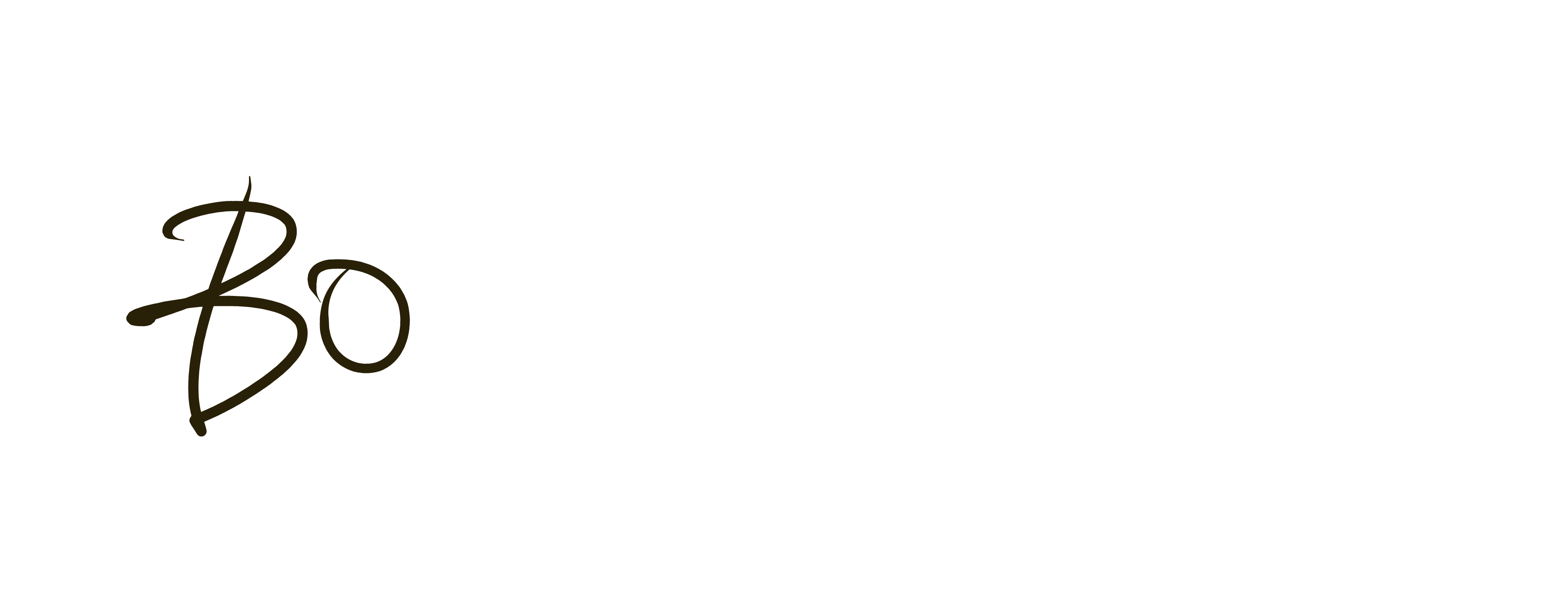 Bo Business logo